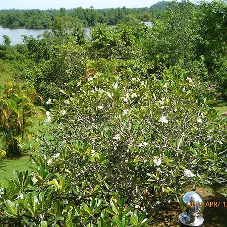 Sobaco Nature Resort Bentota Exteriör bild