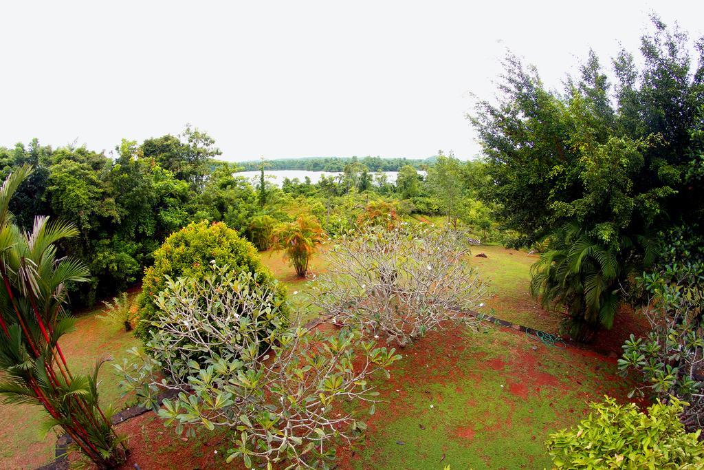 Sobaco Nature Resort Bentota Exteriör bild