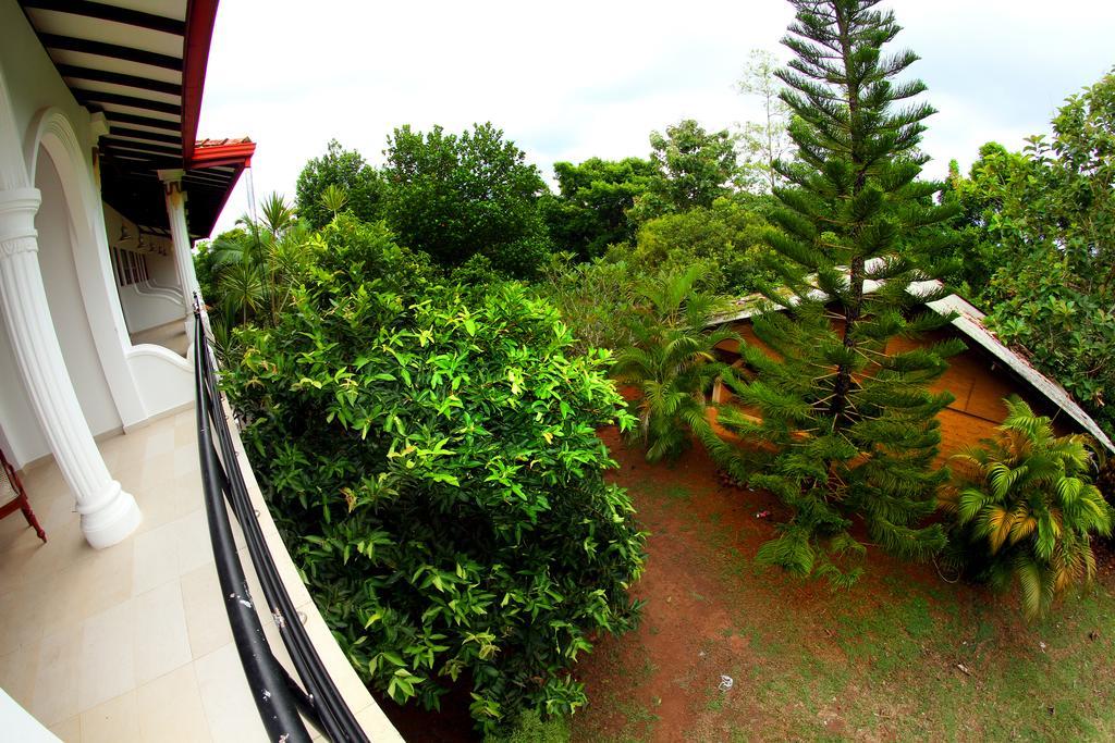 Sobaco Nature Resort Bentota Exteriör bild