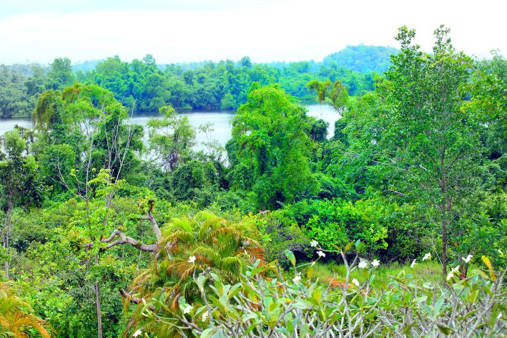 Sobaco Nature Resort Bentota Rum bild